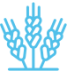 1459854333_0_ico_7-80c5fc20274c6b4fdc0aaacfc4e91d3c.png